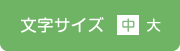 文字サイズ